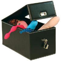 adult toy box
